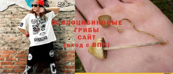 прущие крисы Беломорск