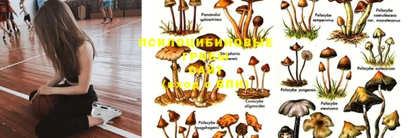 а пвп мука Белокуриха